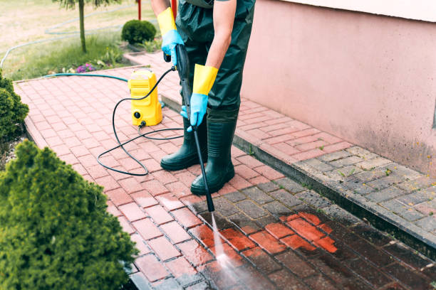 Best Residential Pressure Washing Services  in Forest Meadows, CA