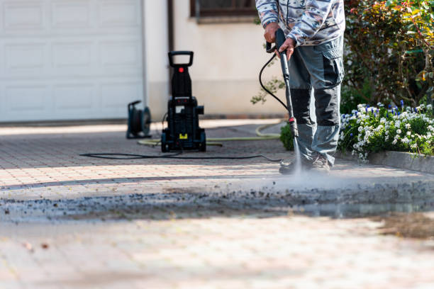 Best Pressure Washing Near Me  in Forest Meadows, CA