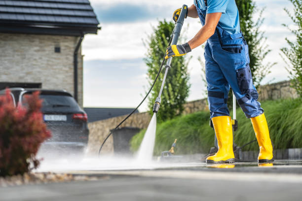 Best Power Washing Near Me  in Forest Meadows, CA