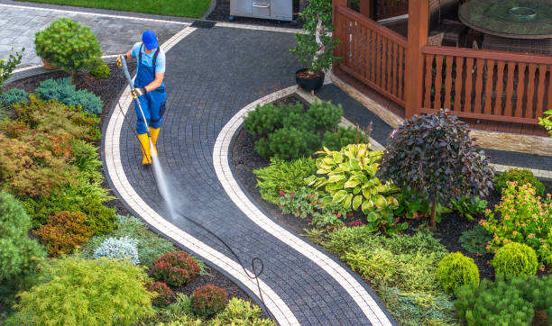 Best Roof Pressure Washing  in Forest Meadows, CA