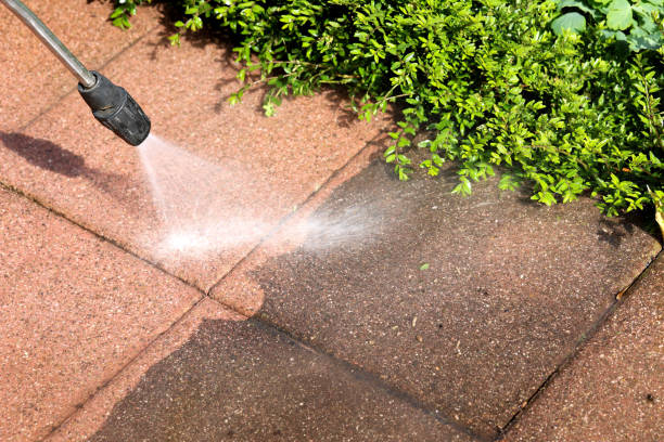 Best Affordable Pressure Washing  in Forest Meadows, CA